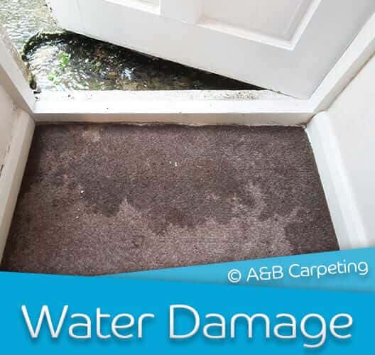 Water Damage Repair - Brooklyn