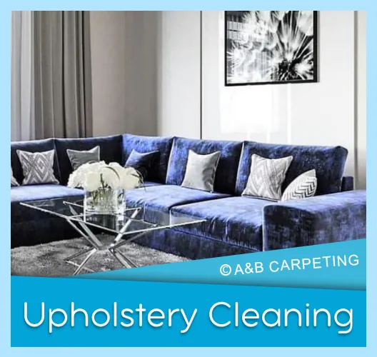 Upholstery Cleaning - Brooklyn